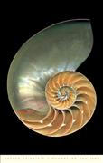 7795