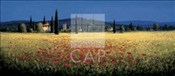 CAP-12020