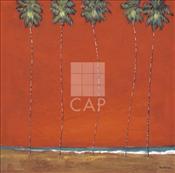 CAP-12128