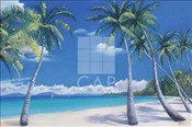 CAP-8317
