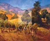 CAP-8348