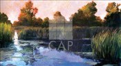 CAP-8598
