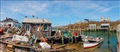 NMA033