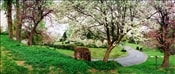 NNC019