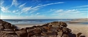 NNJ004