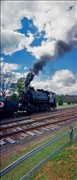 NPA064