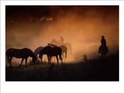 Photographic-Print-C11982577