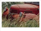 Photographic-Print-C12569928