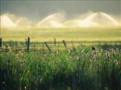 phil-schermeister-farm-scene-west-of-chiloguin-oregon
